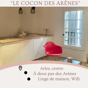 Appartement Cocon Au Pied Des Arènes D'arles, Arles